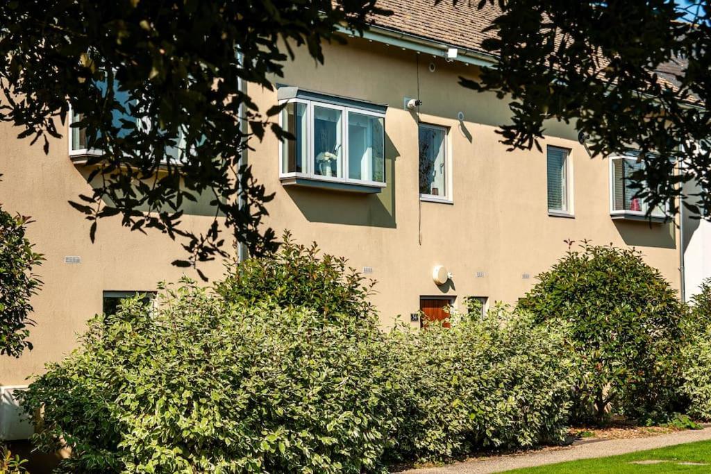 Blueberry Cottage - Lower Mill Estate Somerford Keynes 外观 照片